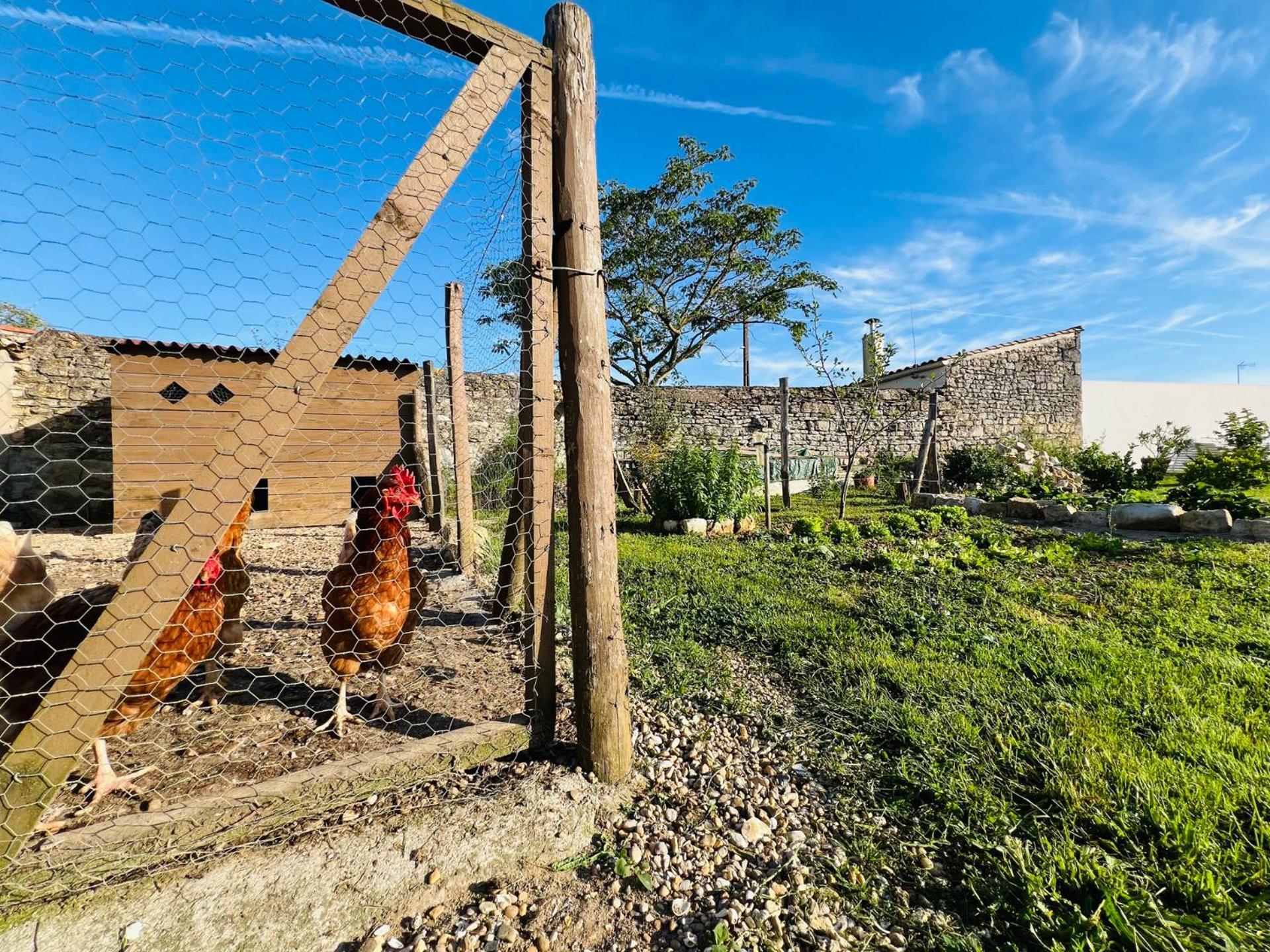 Gîte de caractère à moins de 10min des plages Saint-Michel-en-l'Herm Extérieur photo